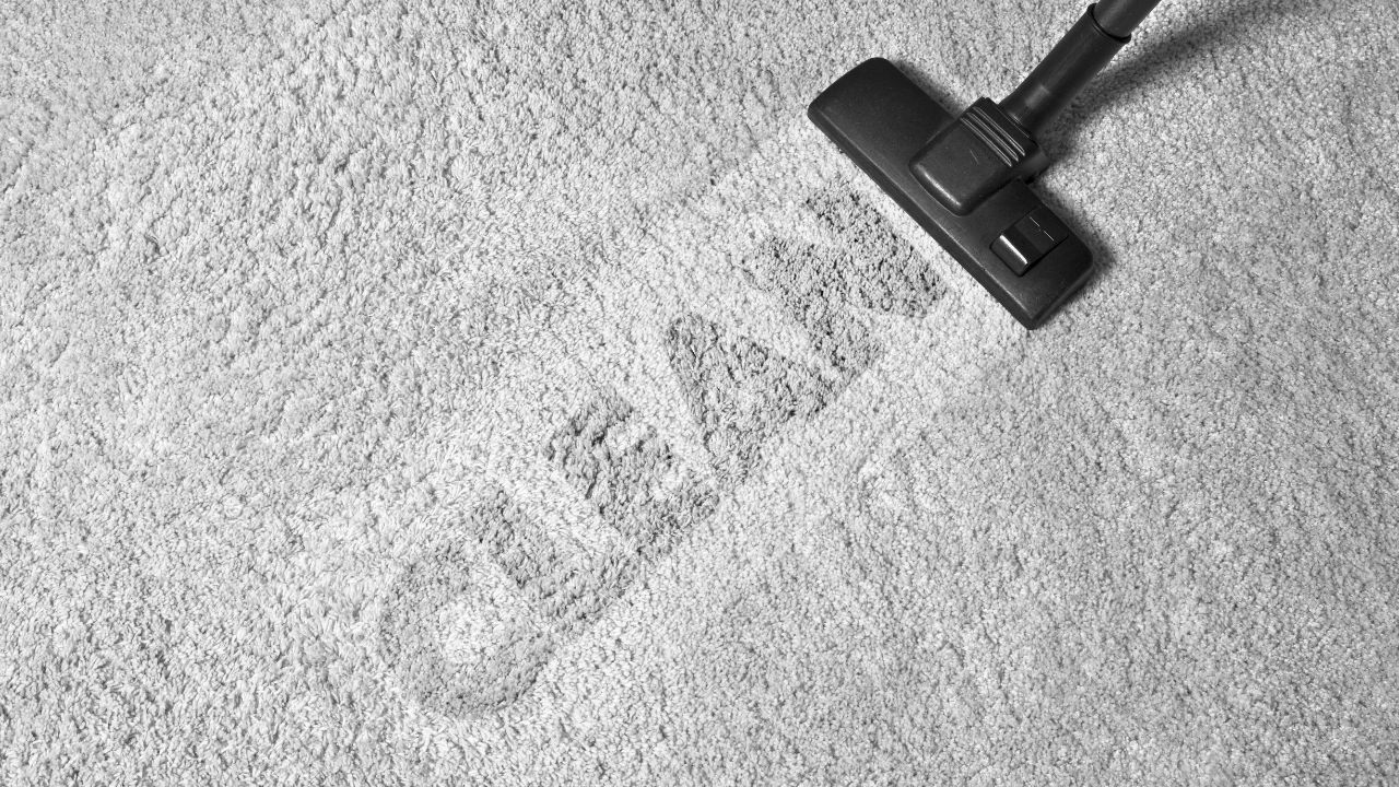 Choosing the Right Commercial Carpet Cleaning Service for Schools and Universities