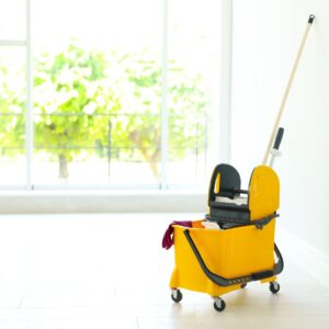 cleaning companies