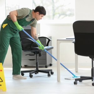 professional janitorial services