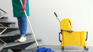 professional janitorial services