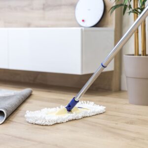 professional cleaning company