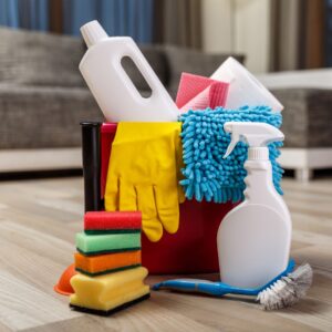 professional cleaning services