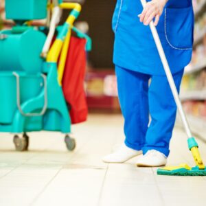 professional cleaning services